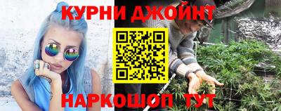 a pvp Гатчина