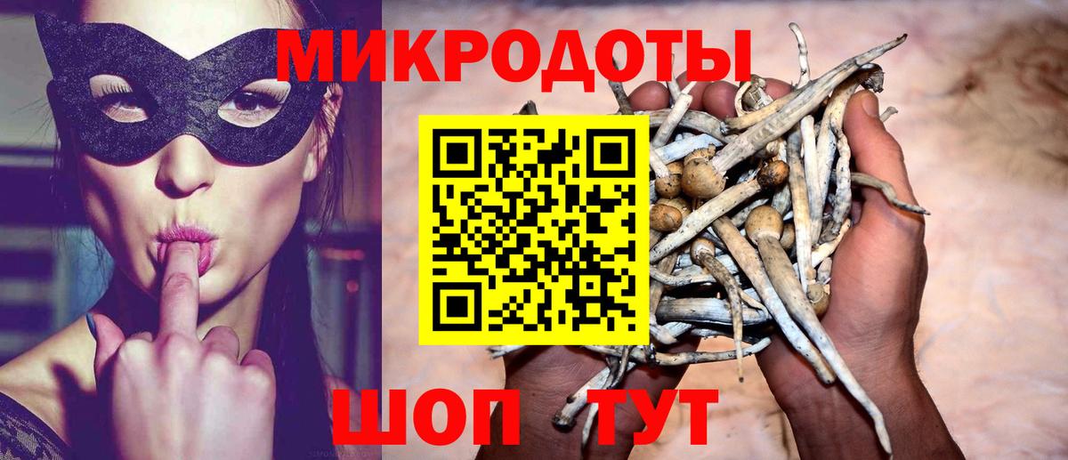 Галлюциногенные грибы GOLDEN TEACHER  Вход с VPN  Гусиноозёрск  Псилоцибиновые грибы MAGIC MUSHROOMS 