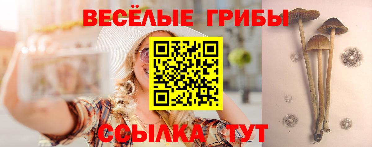 Псилоцибиновые грибы MAGIC MUSHROOMS Гусиноозёрск